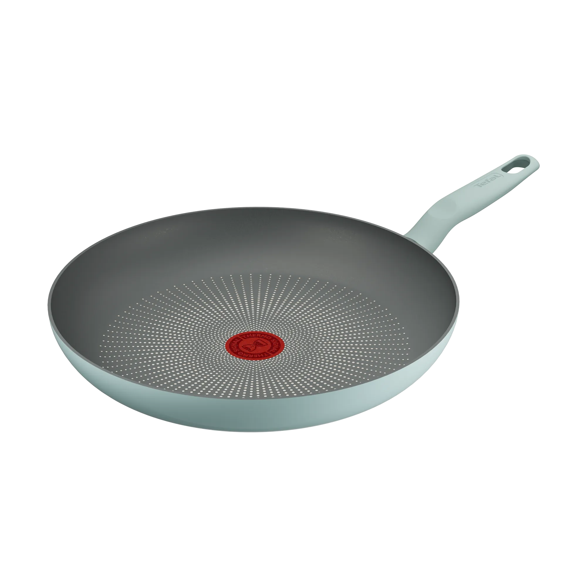 Tefal Halo Induction Non-Stick Eucalyptus Frypan 30cm