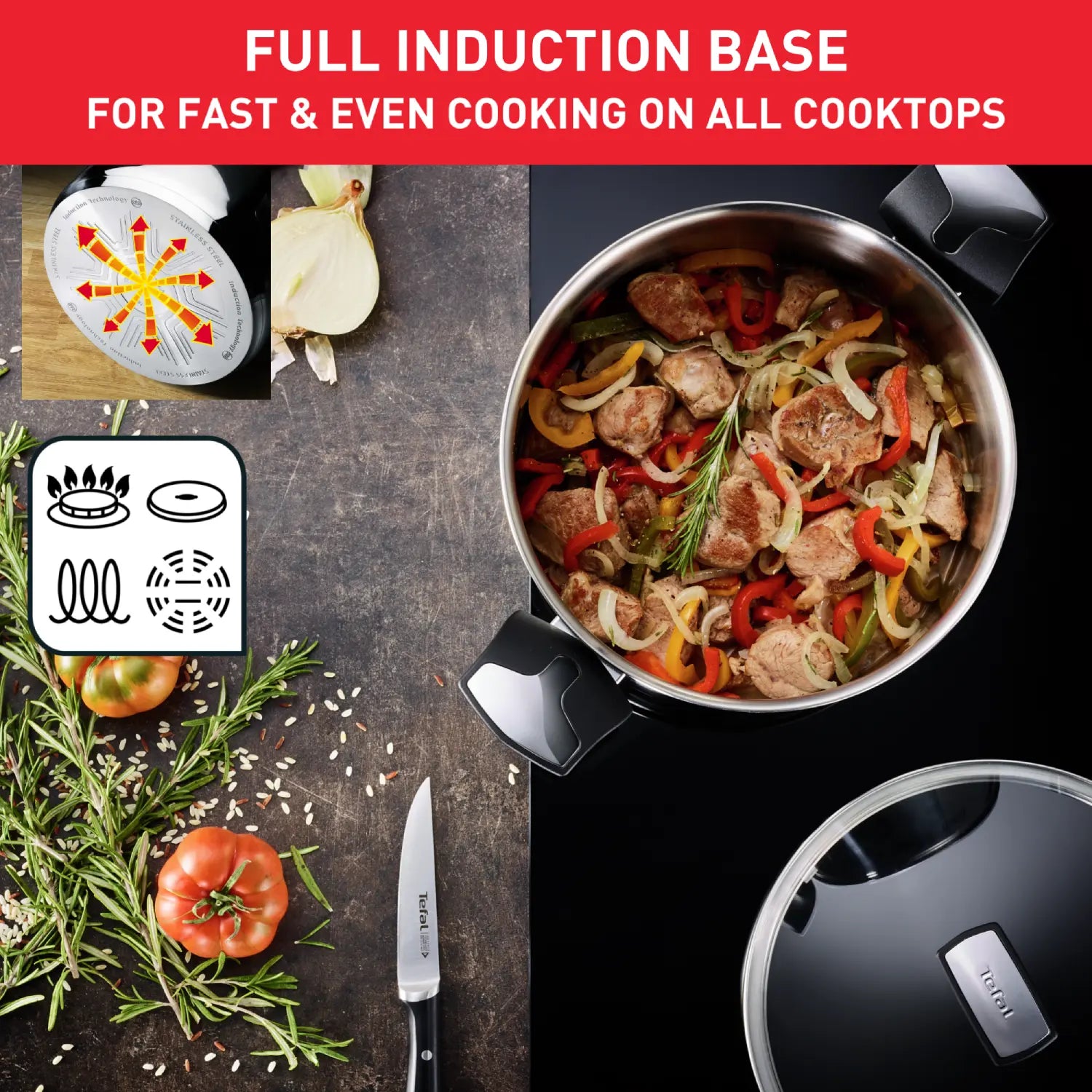 Tefal Emotion Induction Stainless Steel Stockpot 9L with full induction base