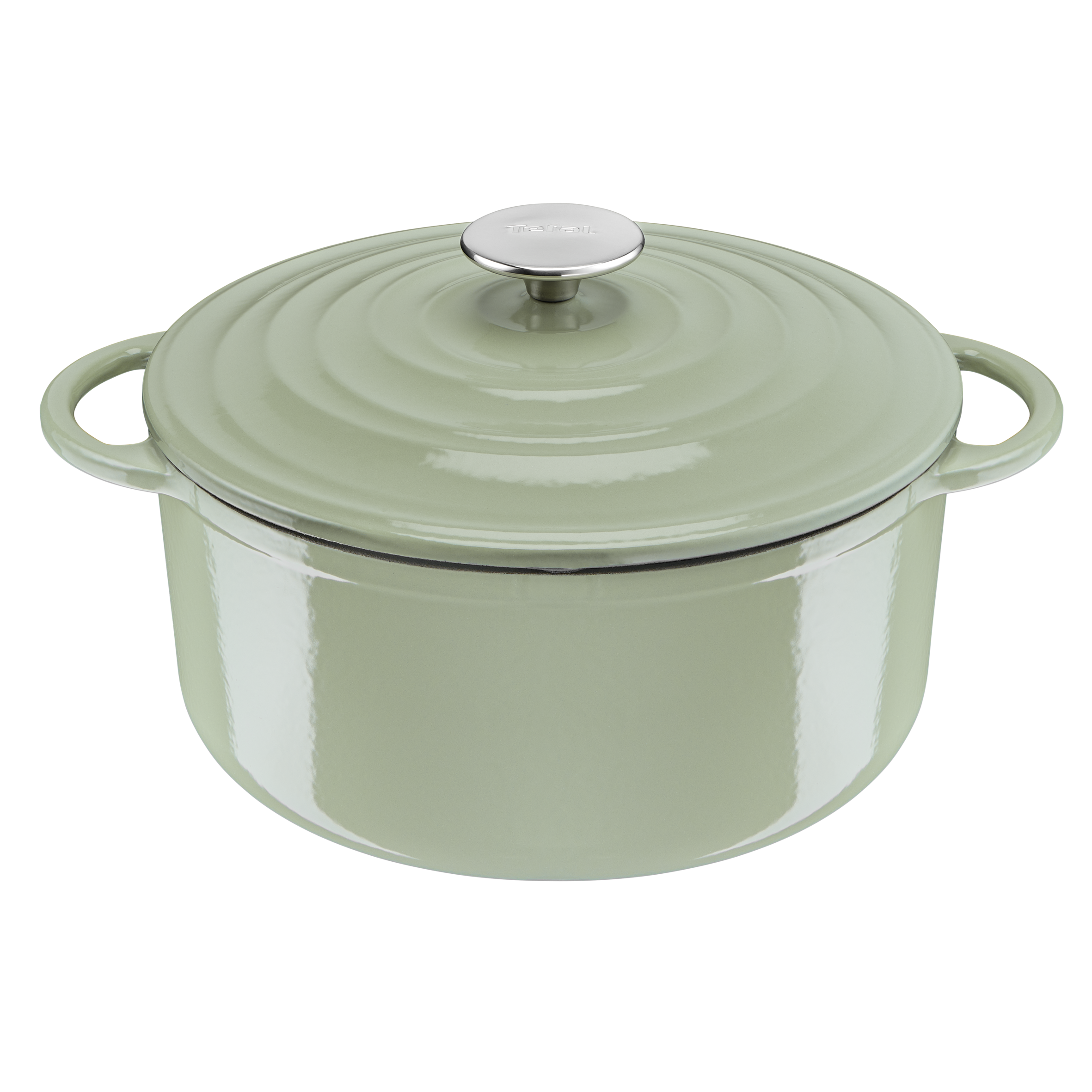 User manual and frequently asked questions Tefal LOV Induction Cast Iron Green Lichen Stewpot 25cm/5L + Lid