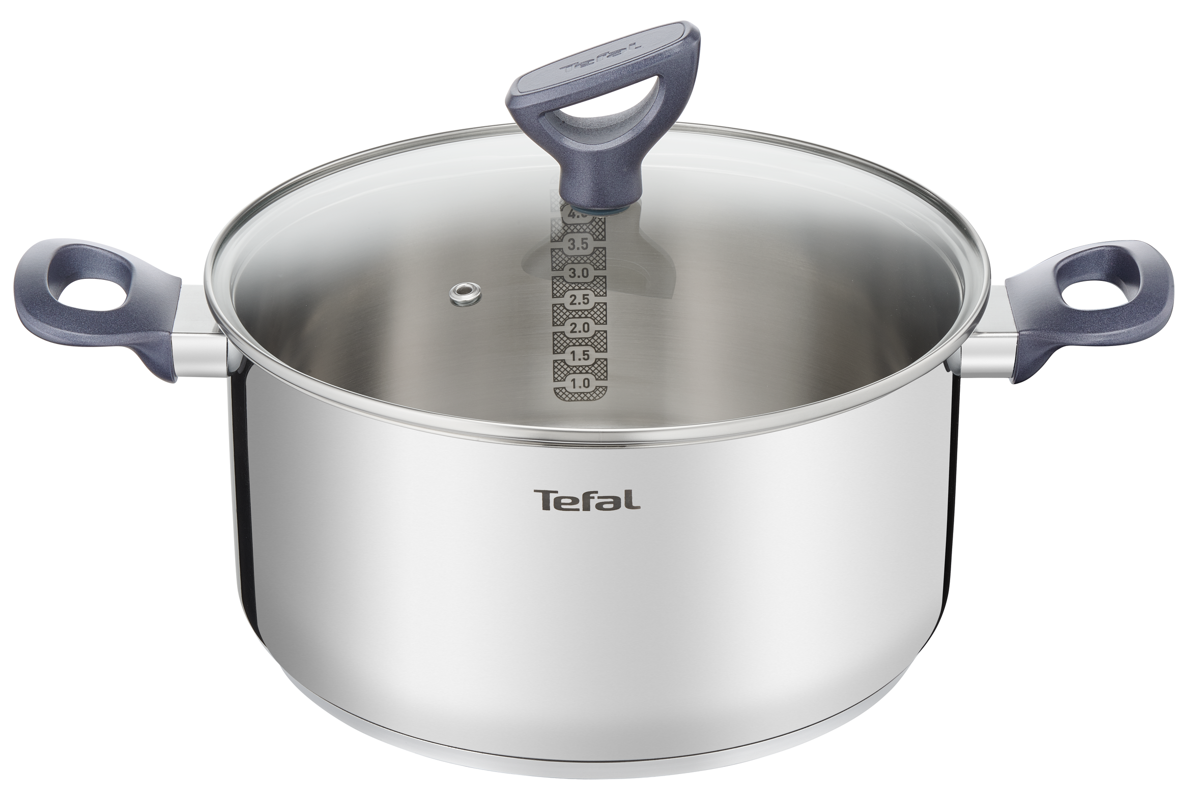 Tefal Daily Cook Stainless Steel Induction Stewpot 24cm/5.2L