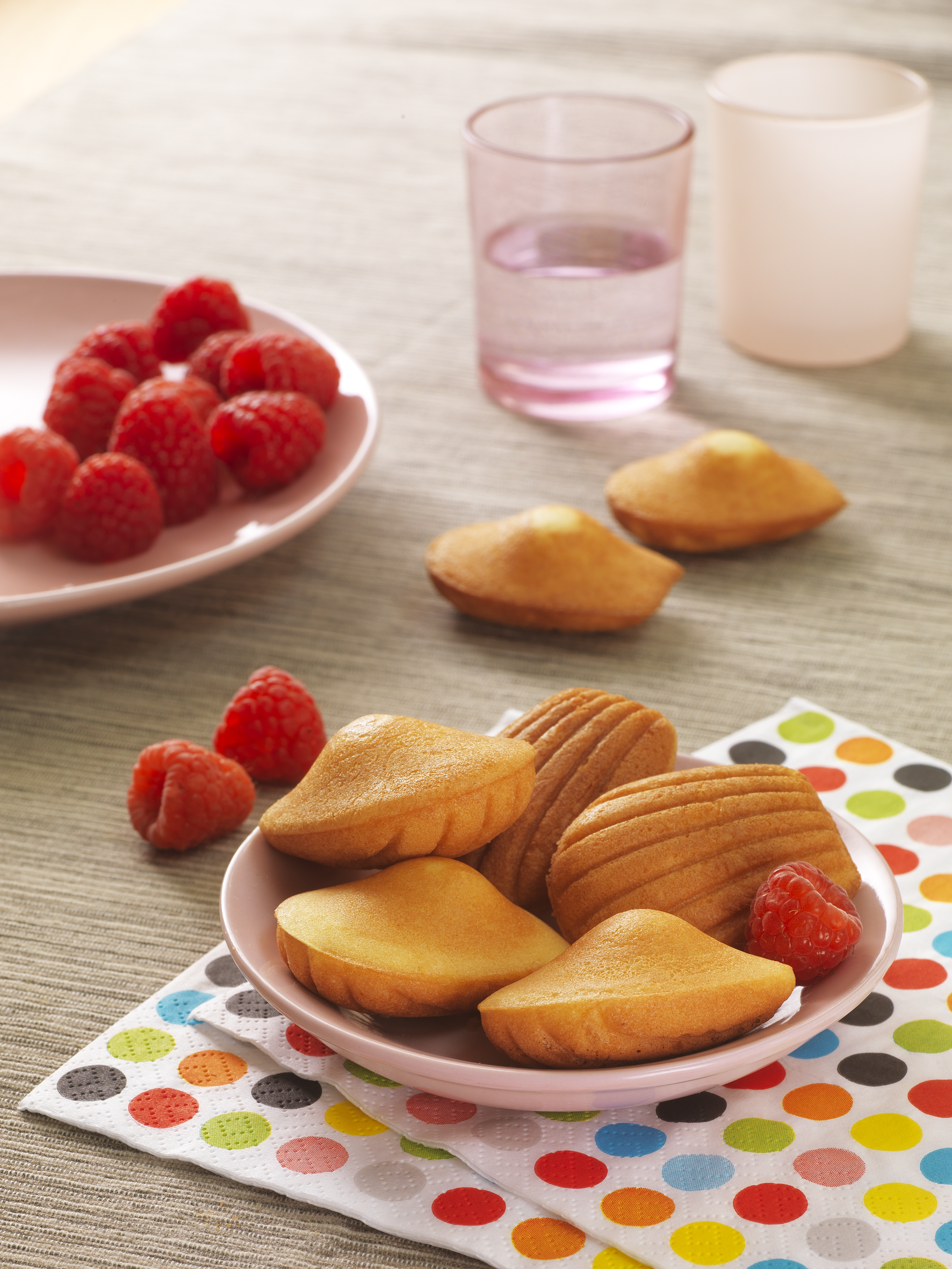 Tefal Snack Collection Accessory Plates - Mini Madeleines XA8015